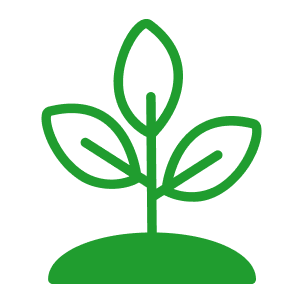 plant-1